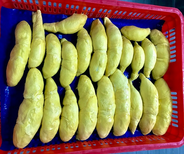 Frozen durian seedpulps